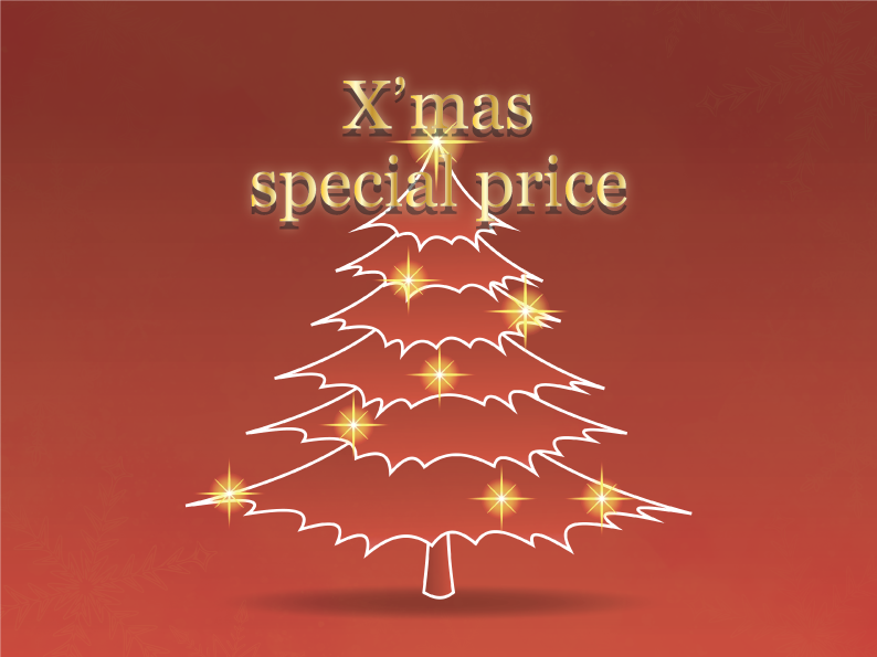 クリスマス 特別料金